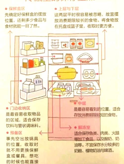 冰箱冷藏室食物摆放禁忌！附3D布局图