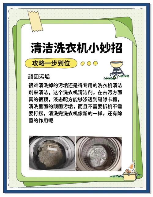 为什么洗衣机要定期清洁?