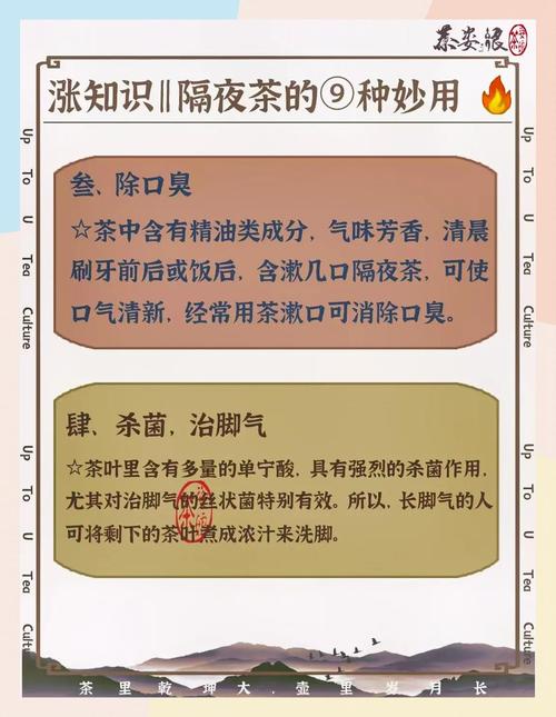 喝隔夜茶真的会致癌吗？真相来了