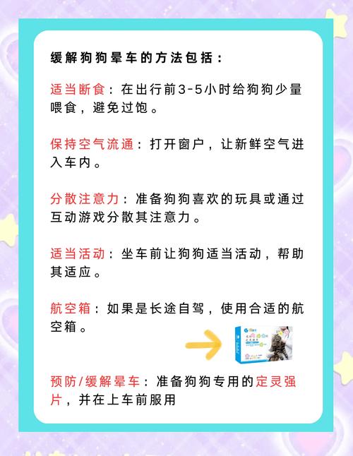 狗狗晕车应对?空腹出行 + 姜片含服缓解法