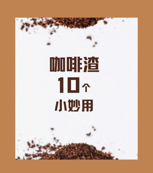 煮咖啡渣的环保用途