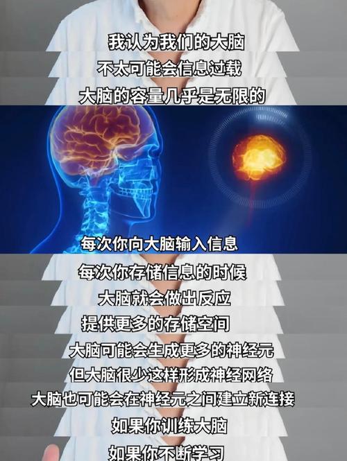 脑科学研究突破:揭秘记忆存储与遗忘机制