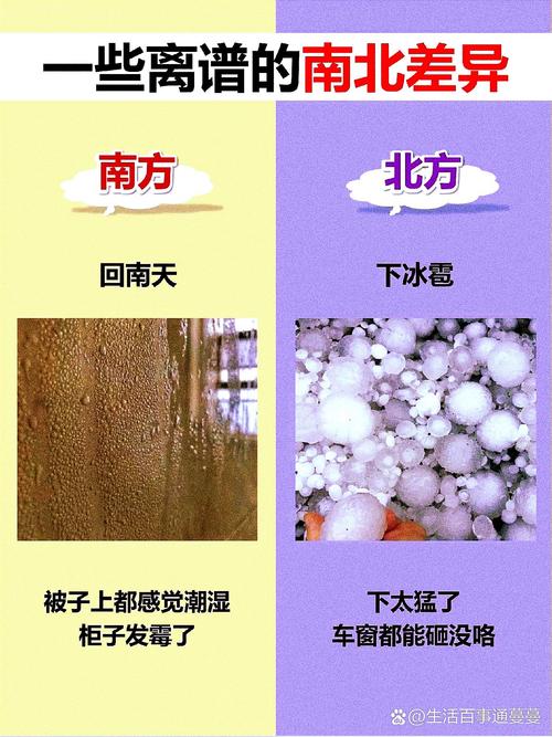 旧报纸吸潮防霉?南方回南天实测湿度