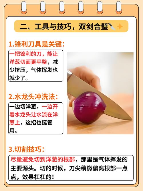切洋葱不流泪?这样做就对了