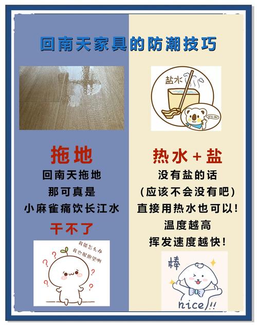 家庭防潮攻略:不同空间的除湿方案