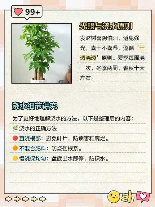绿植养护误区:浇水频率实测数据