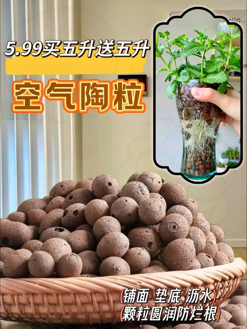 花盆积水烂根？陶粒垫底 + 打孔排水​