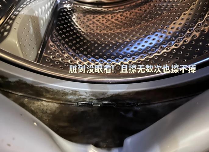 洗衣机胶圈发霉？棉签蘸它轻松擦净