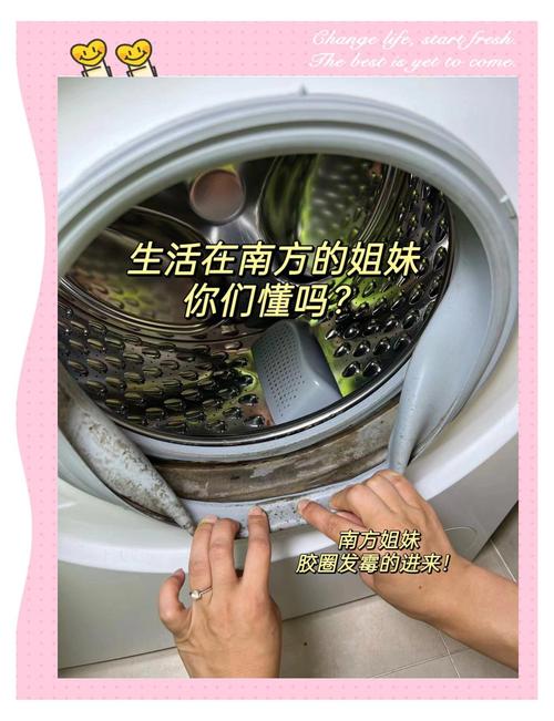 洗衣机胶圈发霉？1招轻松搞定