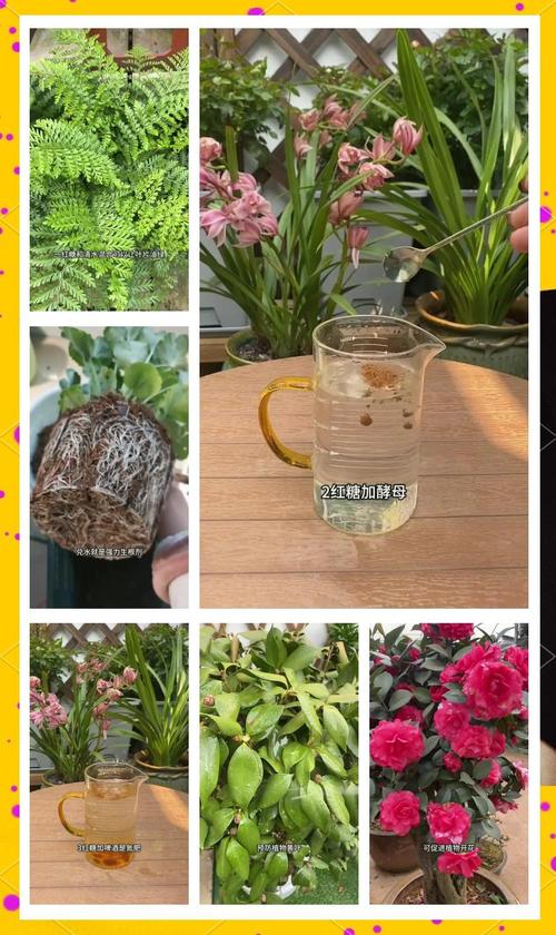 花盆杂草丛生？红糖 + 开水除草法​