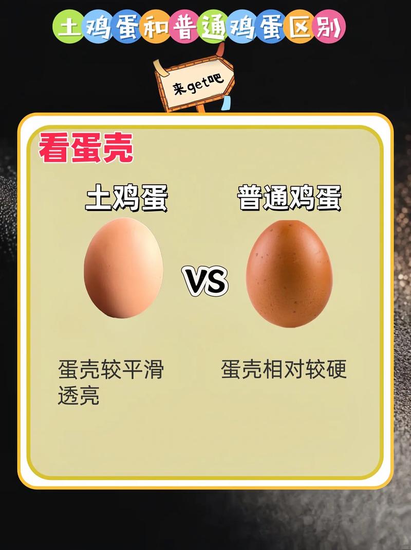 如何辨别鸡蛋是否新鲜？简单一招就知道