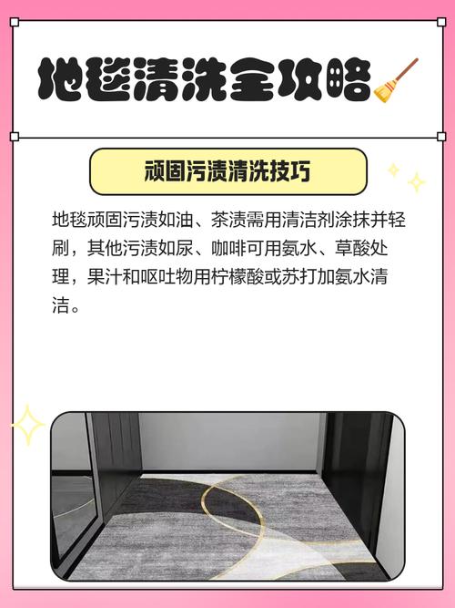 地毯除螨的科学方法