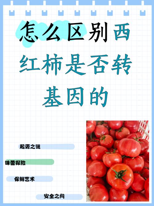 识别转基因食品的实用技巧