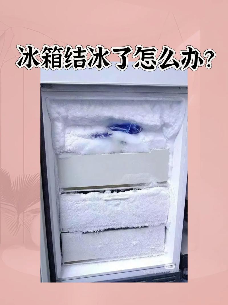 冰箱结冰太厚?1个塑料瓶就能解决