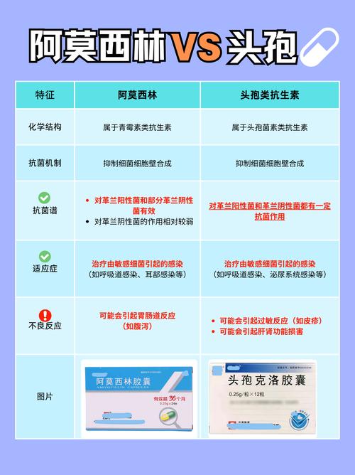 抗生素和消炎药的区别,别再吃错了