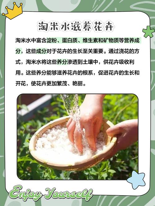 淘米水浇花的3个隐藏风险