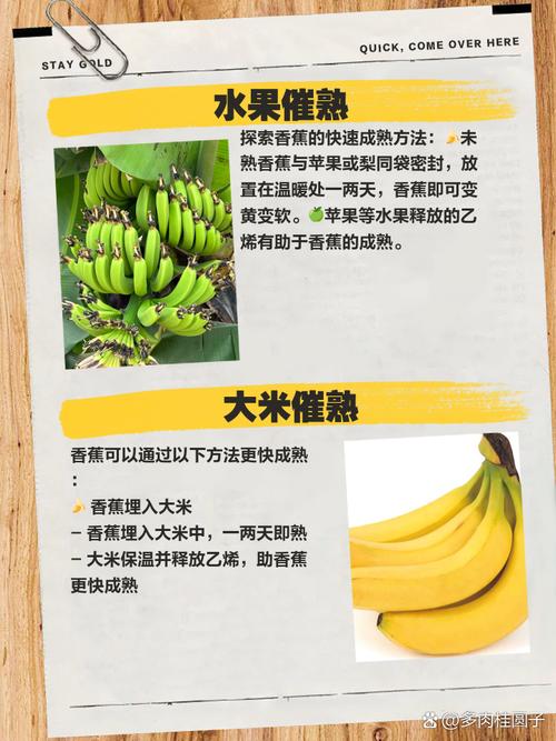 香蕉催熟其他水果的原理揭秘