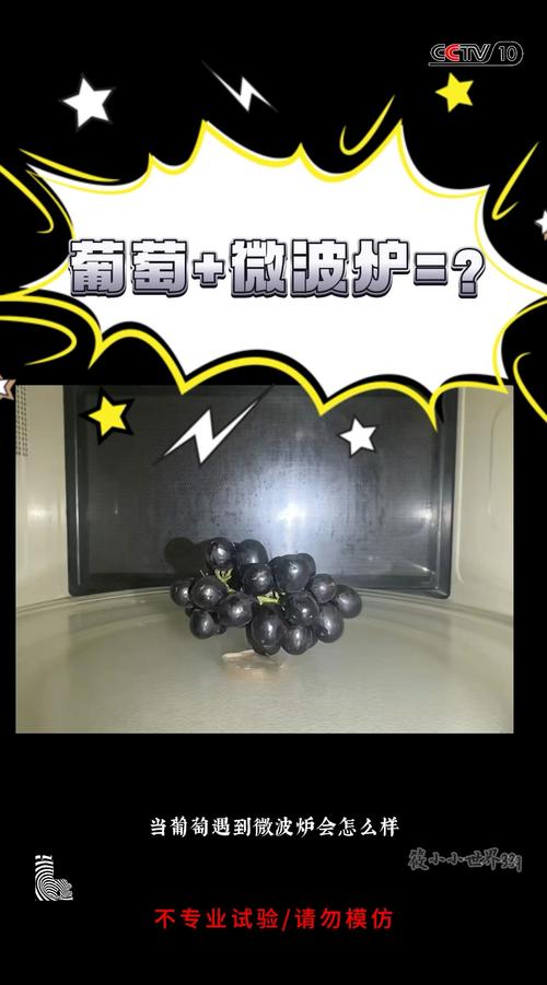 微波炉加热葡萄会引发火灾？实验复现