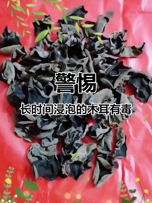 泡木耳超过这个时间会中毒