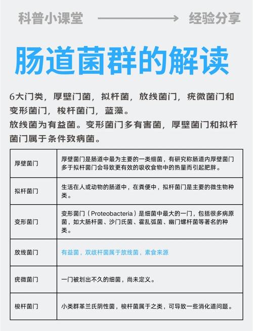肠道菌群奥秘：如何通过微生物改善人类健康？​