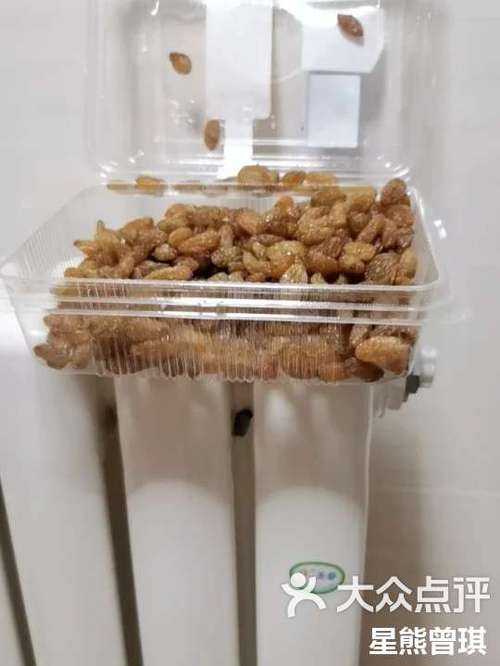 微波炉加热葡萄干：会引发电弧吗？