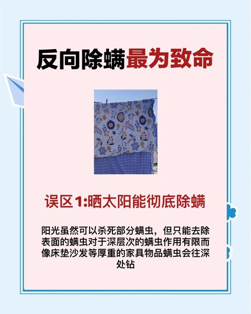 沙发螨虫的60℃高温灭杀
