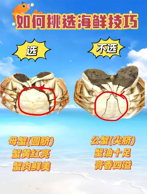 如何辨别肉类、海鲜是否新鲜?