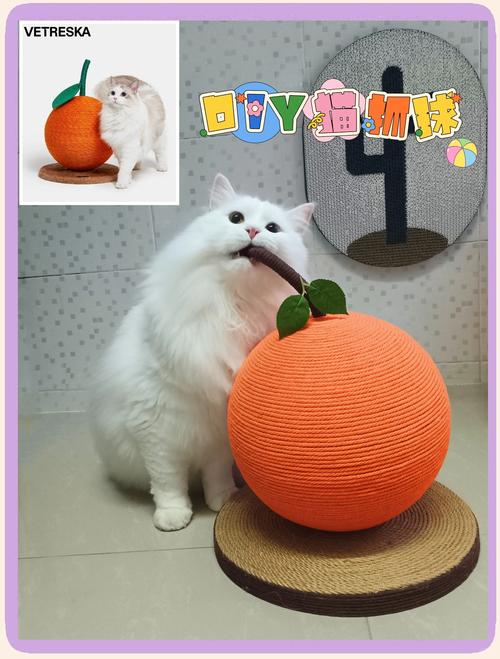 旧塑料瓶改造猫抓板，主子超爱