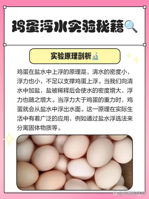 鸡蛋新鲜度测试：30秒浮水实验法