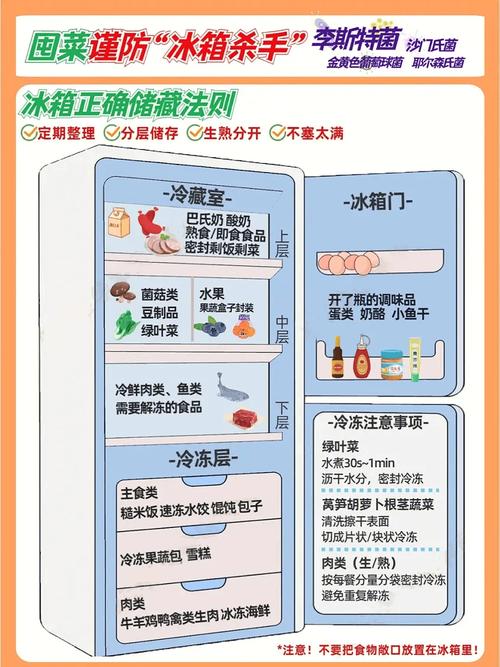 冰箱食物保鲜的分类原则