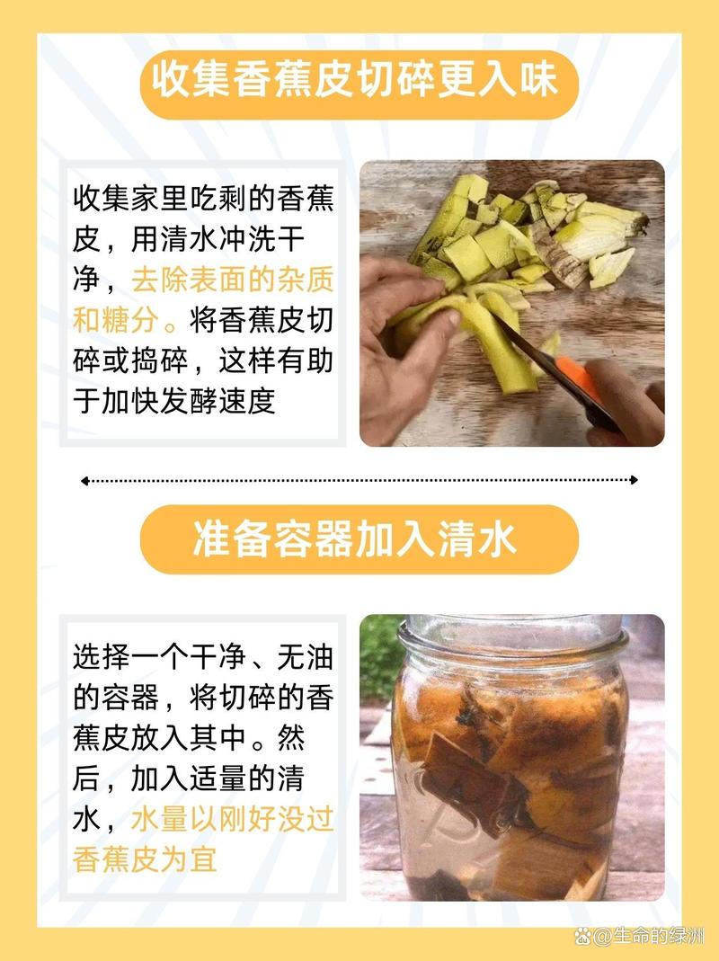 香蕉皮养花:埋土里还是泡水浇?