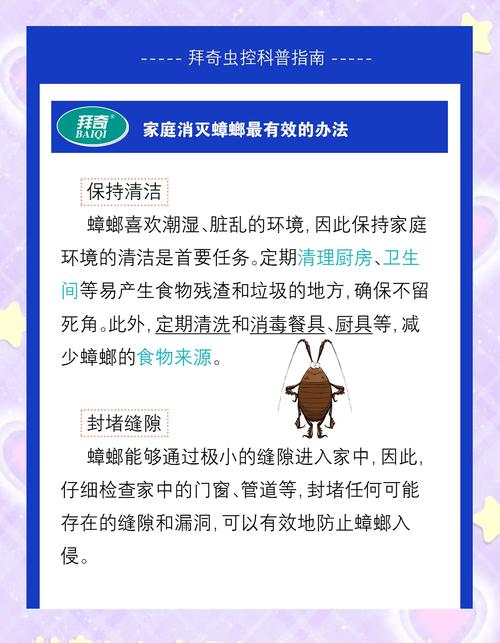 家庭灭蟑螂的天然配方