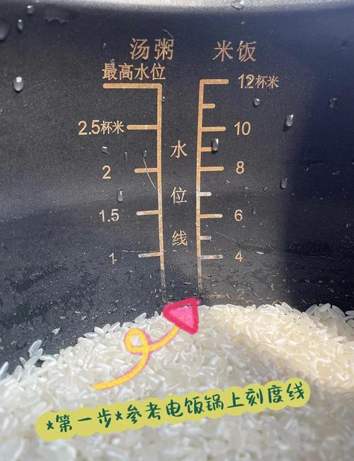 判断大米含水量的感官测试