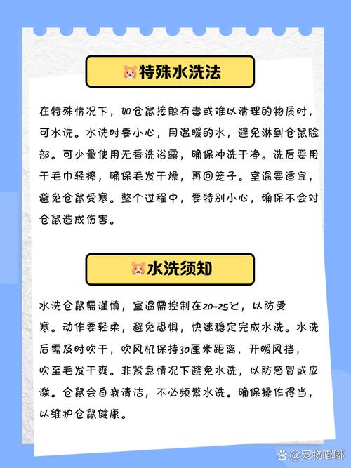 松鼠掉毛严重?蛋白质补充 + 定期洗澡护理法