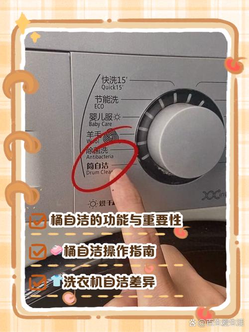 洗衣机筒自洁要选90℃？霉菌检测显微镜图