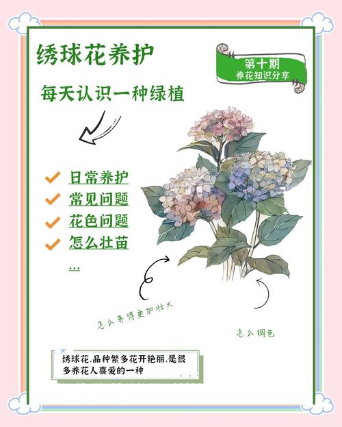 绣球调色失败原因?土壤酸碱度检测方法