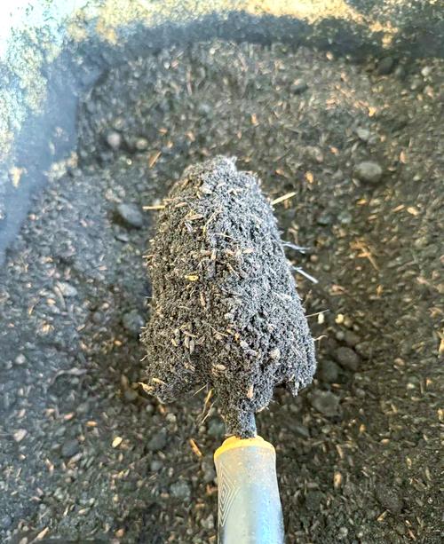 花盆土壤板结?蚯蚓粪松土超有效