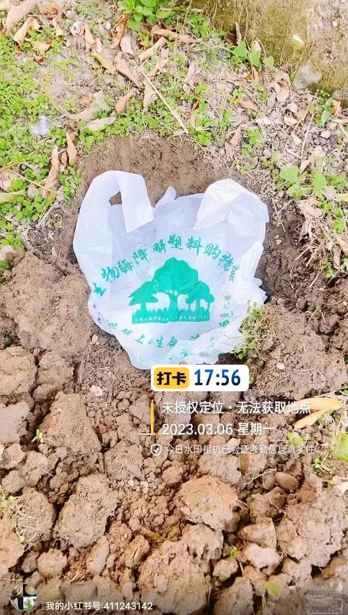 塑料袋重复使用的安全期限