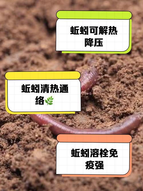 花盆里的蚯蚓太多?这些植物驱赶法超有效
