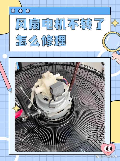 为什么电风扇要定期加油？