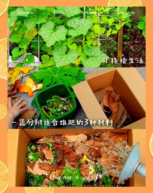 花盆土壤肥力不足?厨余堆肥自制教程