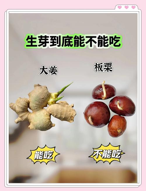 这些发芽食物有毒，千万别吃