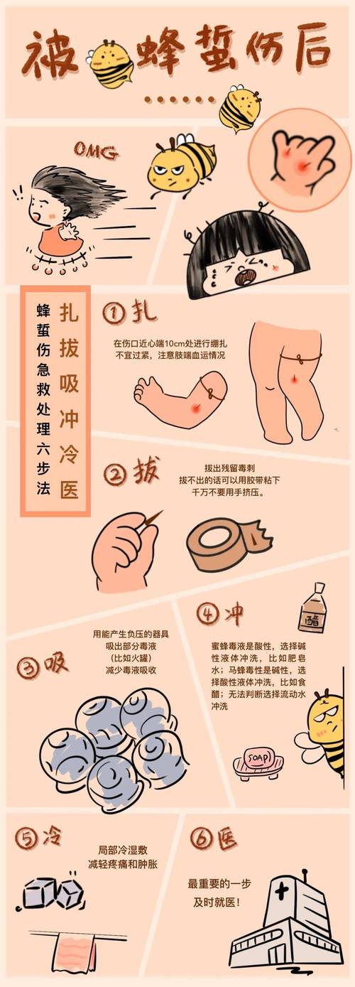 被马蜂攻击别挥手!正确的伏地不动逃生技巧