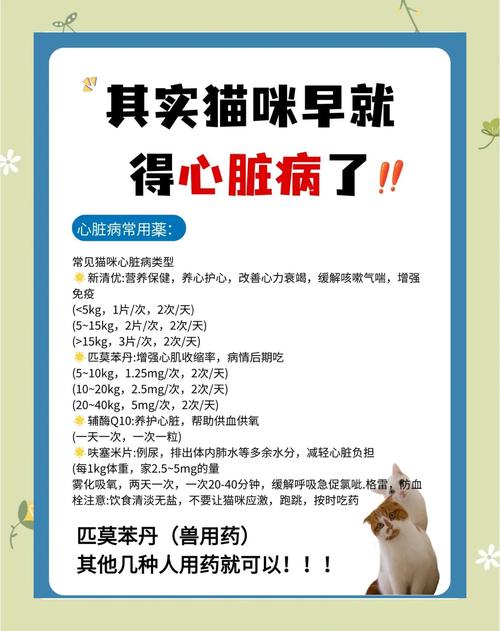 短剧《猫咪心理诊所》治愈刷屏：萌宠 + 心理题材的爆款公式​