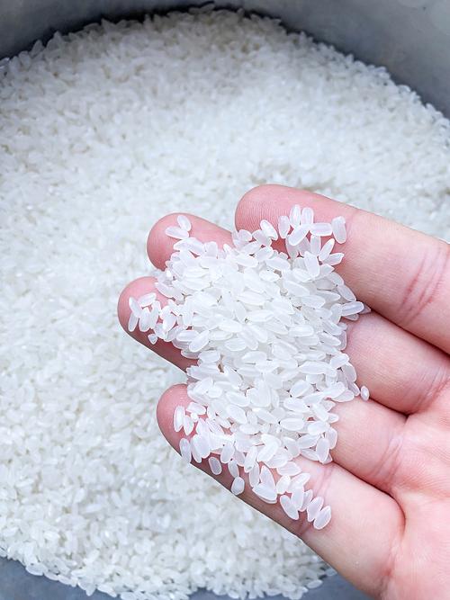 大米含水量:手抓成团鉴别法