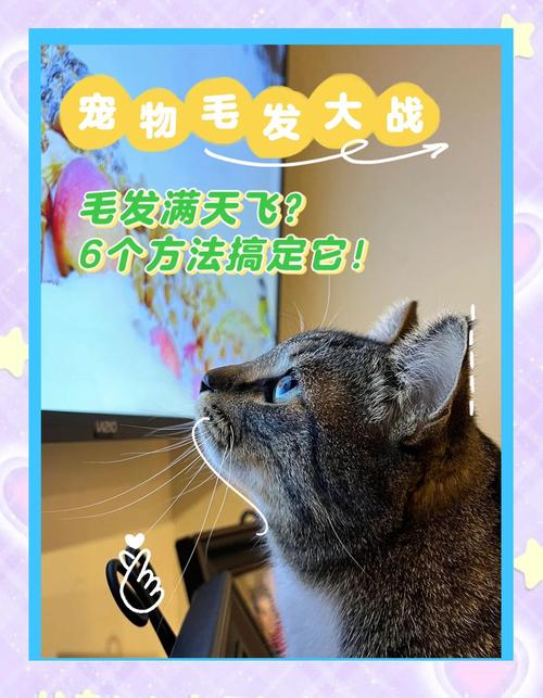 快速去除宠物毛发的方法