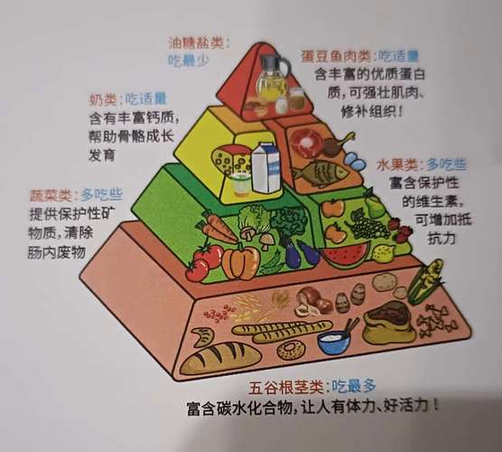 药物吸收与进食关系