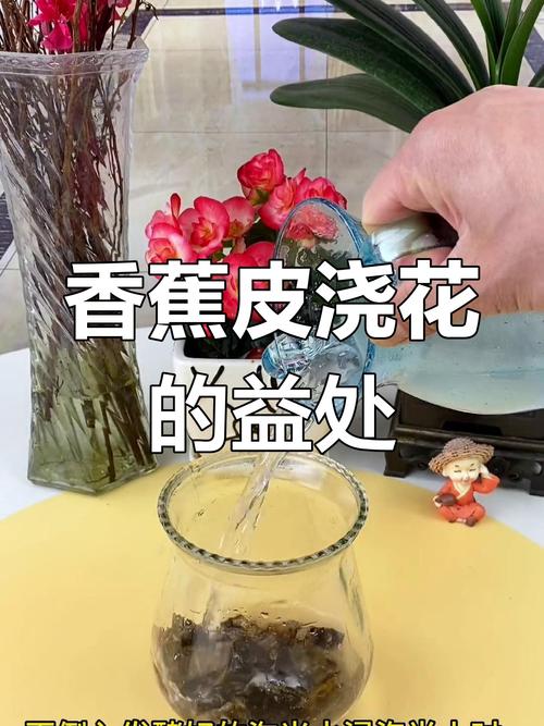 香蕉皮养花的正确打开方式