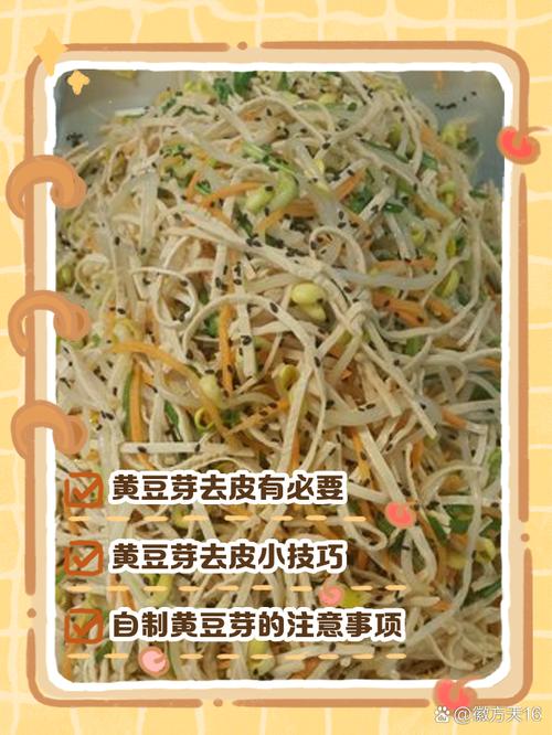豆芽发黄？黑布遮光培育技巧​