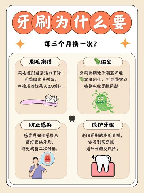 牙刷应该多久换一次？